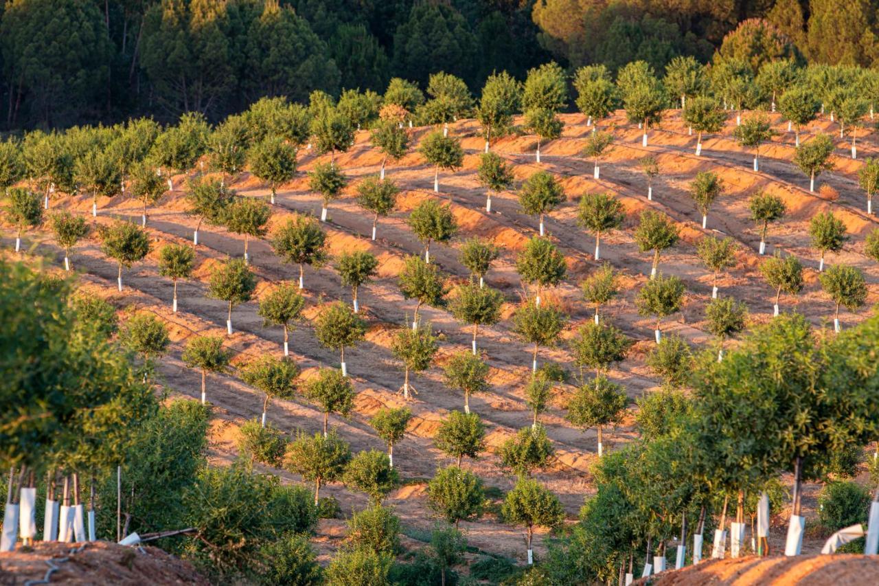 Casa Das Jardas Idanha-a-Nova Dış mekan fotoğraf