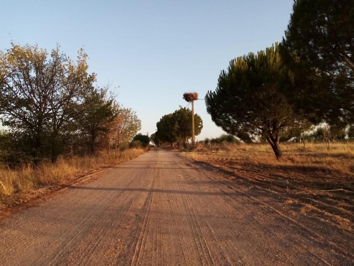 Casa Das Jardas Idanha-a-Nova Dış mekan fotoğraf